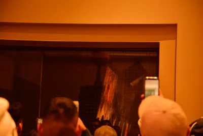 DSC_5648 (Large).JPG